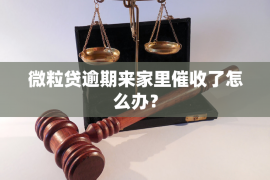 尼玛尼玛的要账公司在催收过程中的策略和技巧有哪些？